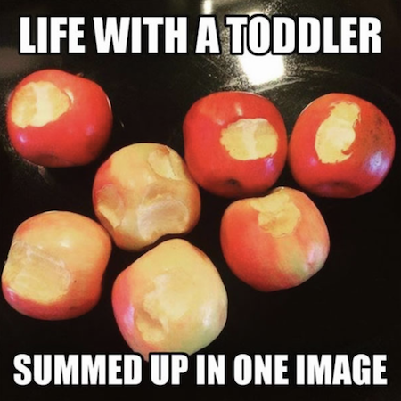 This Is Your Life If You Are The Parent Of A Toddler Apples